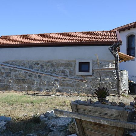 Casa Da Lima - Nestled In Nature On Santiago'S And Fatima'S Path, Close To Coimbra And Rabacal Alvorge エクステリア 写真