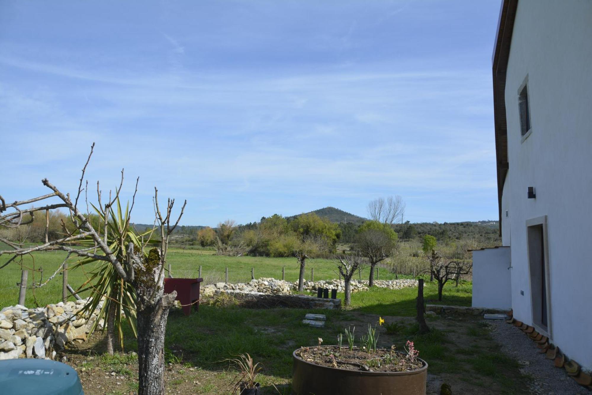 Casa Da Lima - Nestled In Nature On Santiago'S And Fatima'S Path, Close To Coimbra And Rabacal Alvorge エクステリア 写真