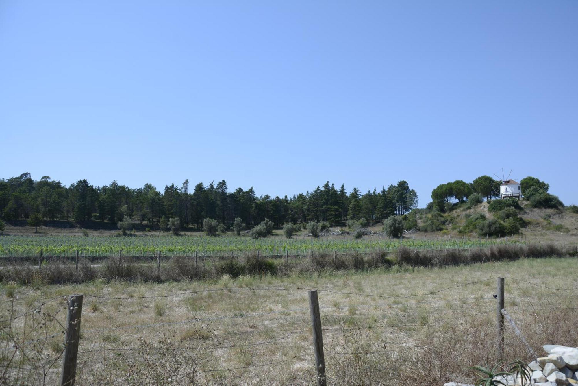 Casa Da Lima - Nestled In Nature On Santiago'S And Fatima'S Path, Close To Coimbra And Rabacal Alvorge エクステリア 写真