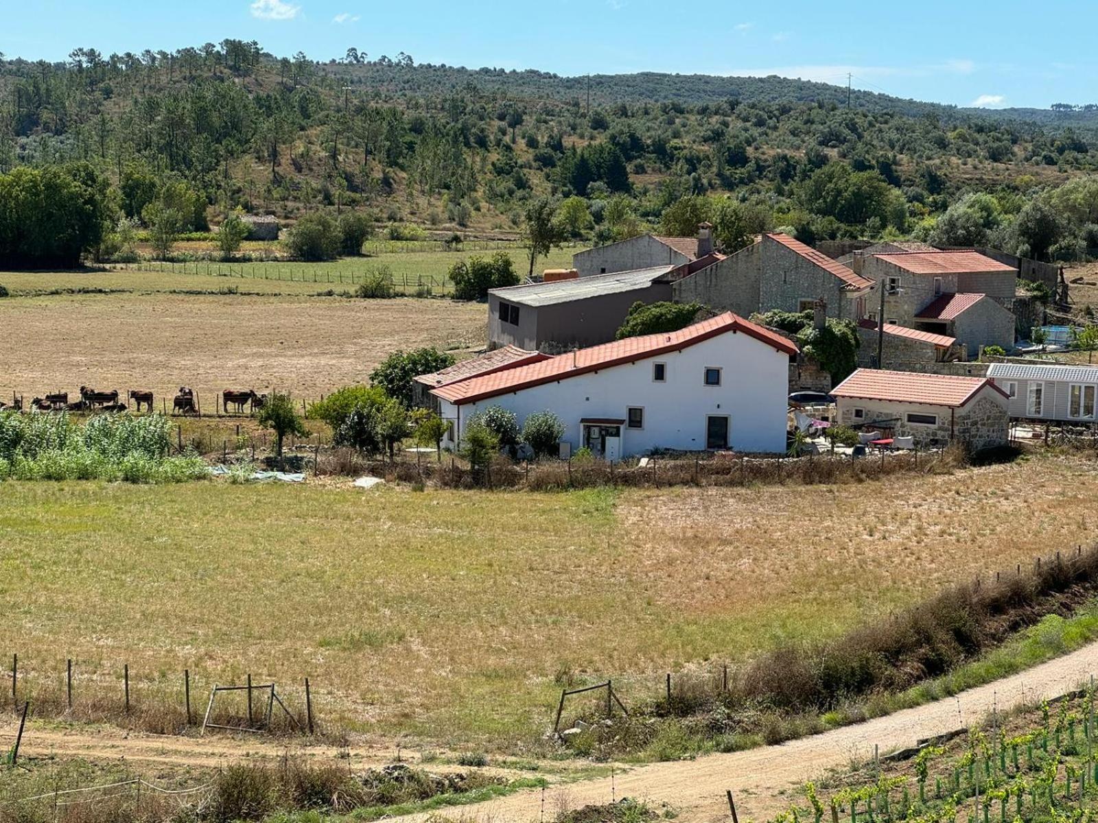 Casa Da Lima - Nestled In Nature On Santiago'S And Fatima'S Path, Close To Coimbra And Rabacal Alvorge エクステリア 写真