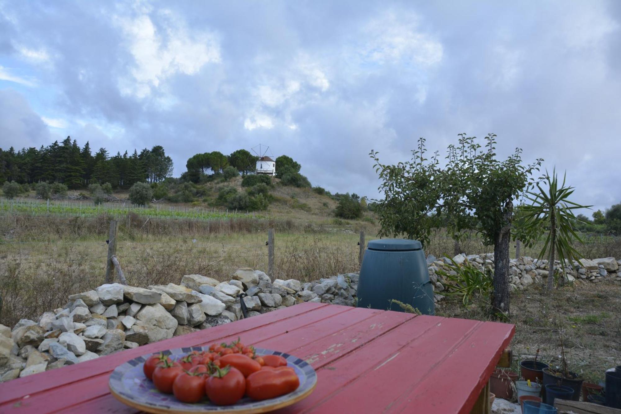 Casa Da Lima - Nestled In Nature On Santiago'S And Fatima'S Path, Close To Coimbra And Rabacal Alvorge エクステリア 写真