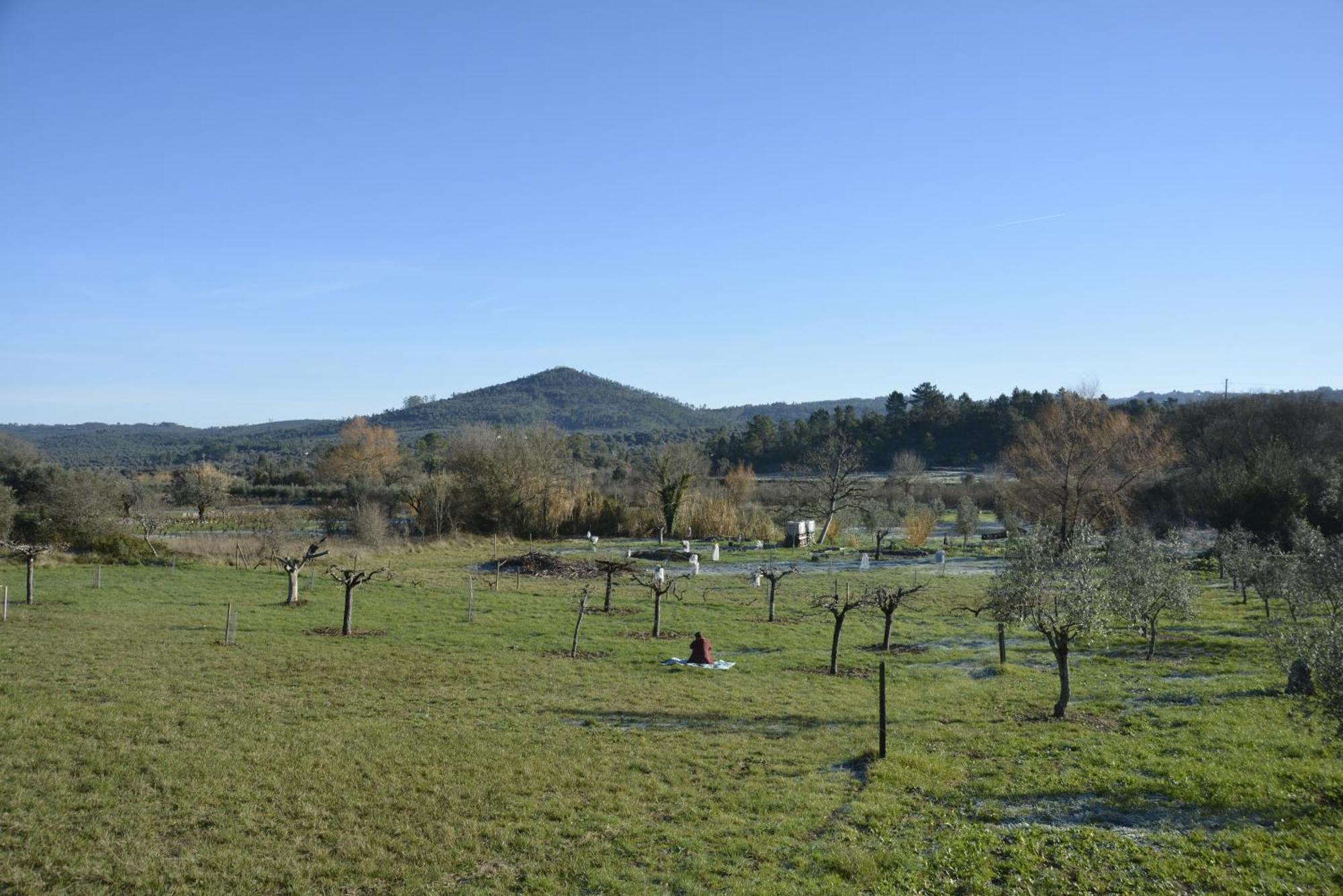 Casa Da Lima - Nestled In Nature On Santiago'S And Fatima'S Path, Close To Coimbra And Rabacal Alvorge エクステリア 写真